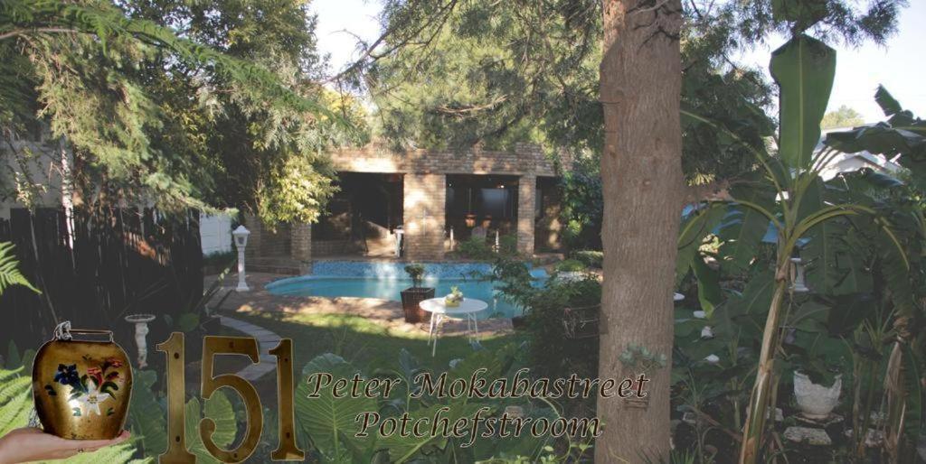 Just Tiffany Guest House & Conference Facility 波切夫斯特鲁姆 外观 照片